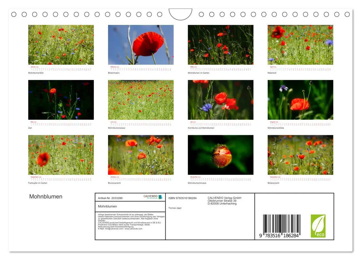 Bild: 9783516186284 | Mohnblumen (Wandkalender 2026 DIN A4 quer), CALVENDO Monatskalender
