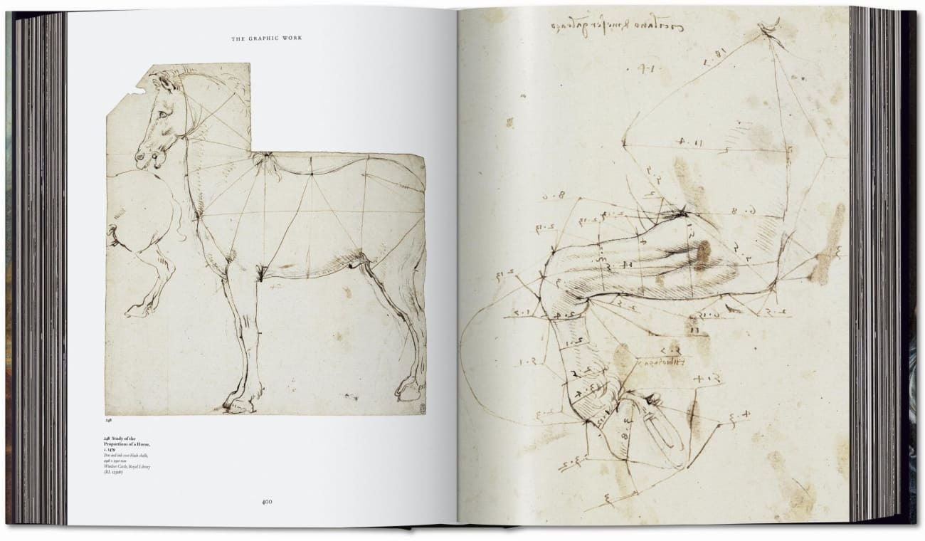 Bild: 9783836576284 | Léonard de Vinci. Tout l'oeuvre peint et graphique | Zöllner (u. a.)