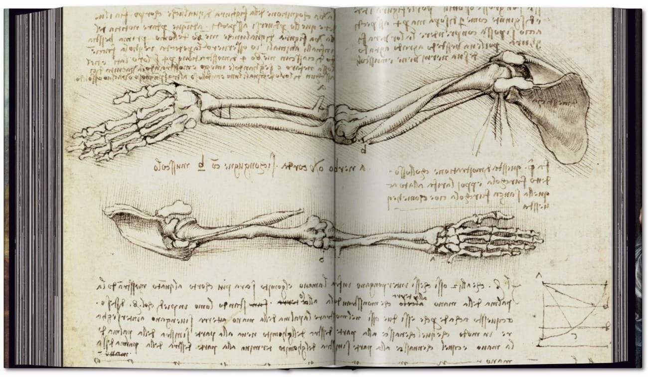 Bild: 9783836576284 | Léonard de Vinci. Tout l'oeuvre peint et graphique | Zöllner (u. a.)
