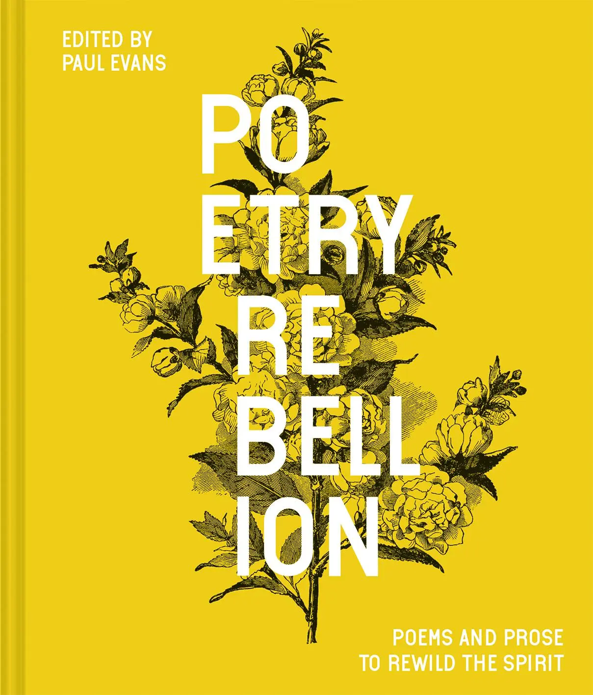 Cover: 9781849946384 | Poetry Rebellion | Poems and prose to rewild the spirit | Paul Evans