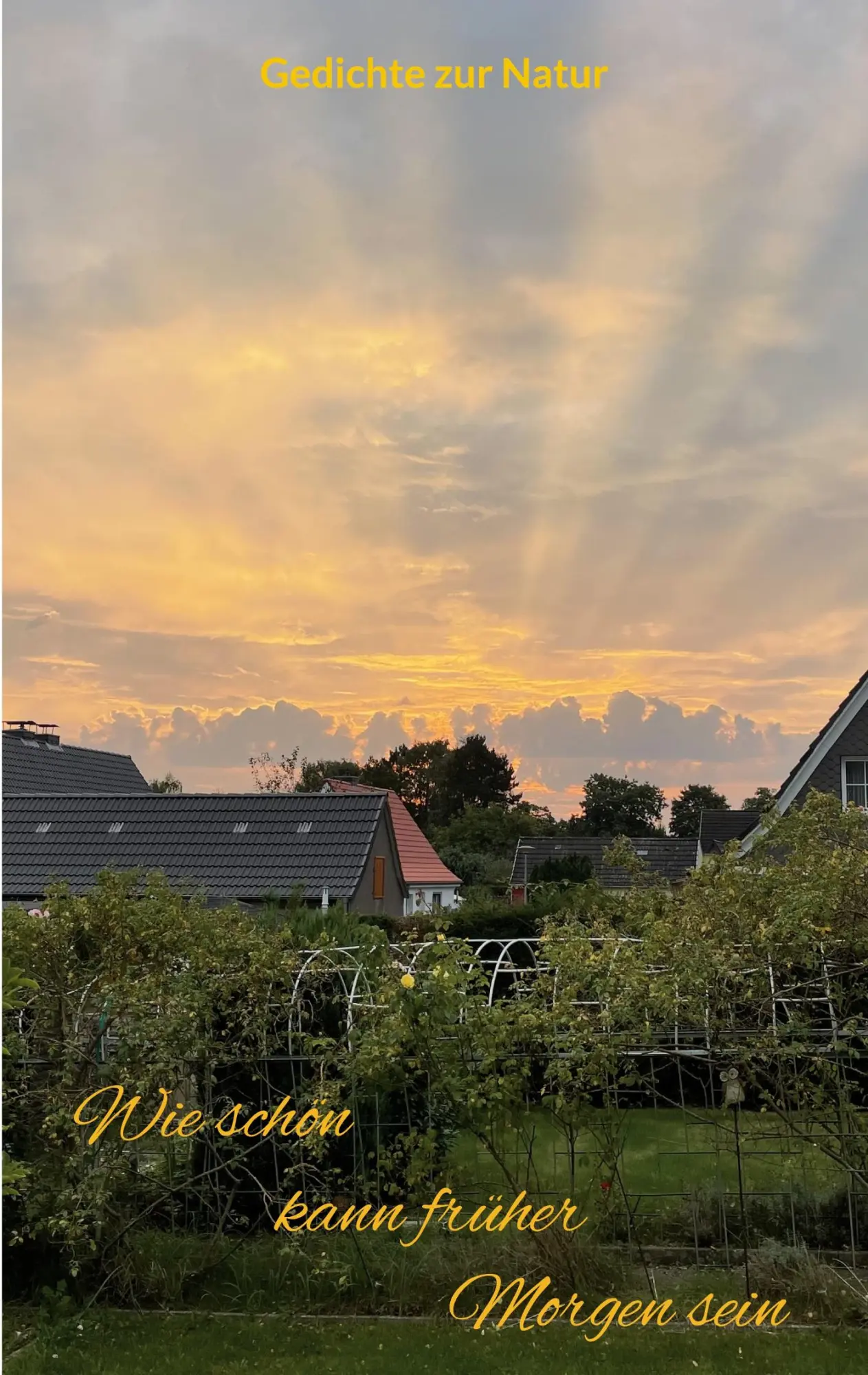 Cover: 9783769316384 | Wie schön kann früher Morgen sein | Naturbetrachtungen | Curd Belesos