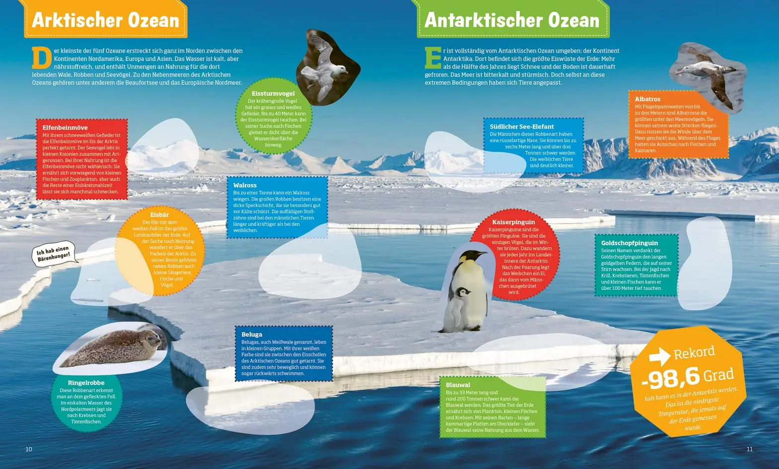 Bild: 9783788676384 | WAS IST WAS Stickerheft Ozeane | KG | Broschüre | 32 S. | Deutsch