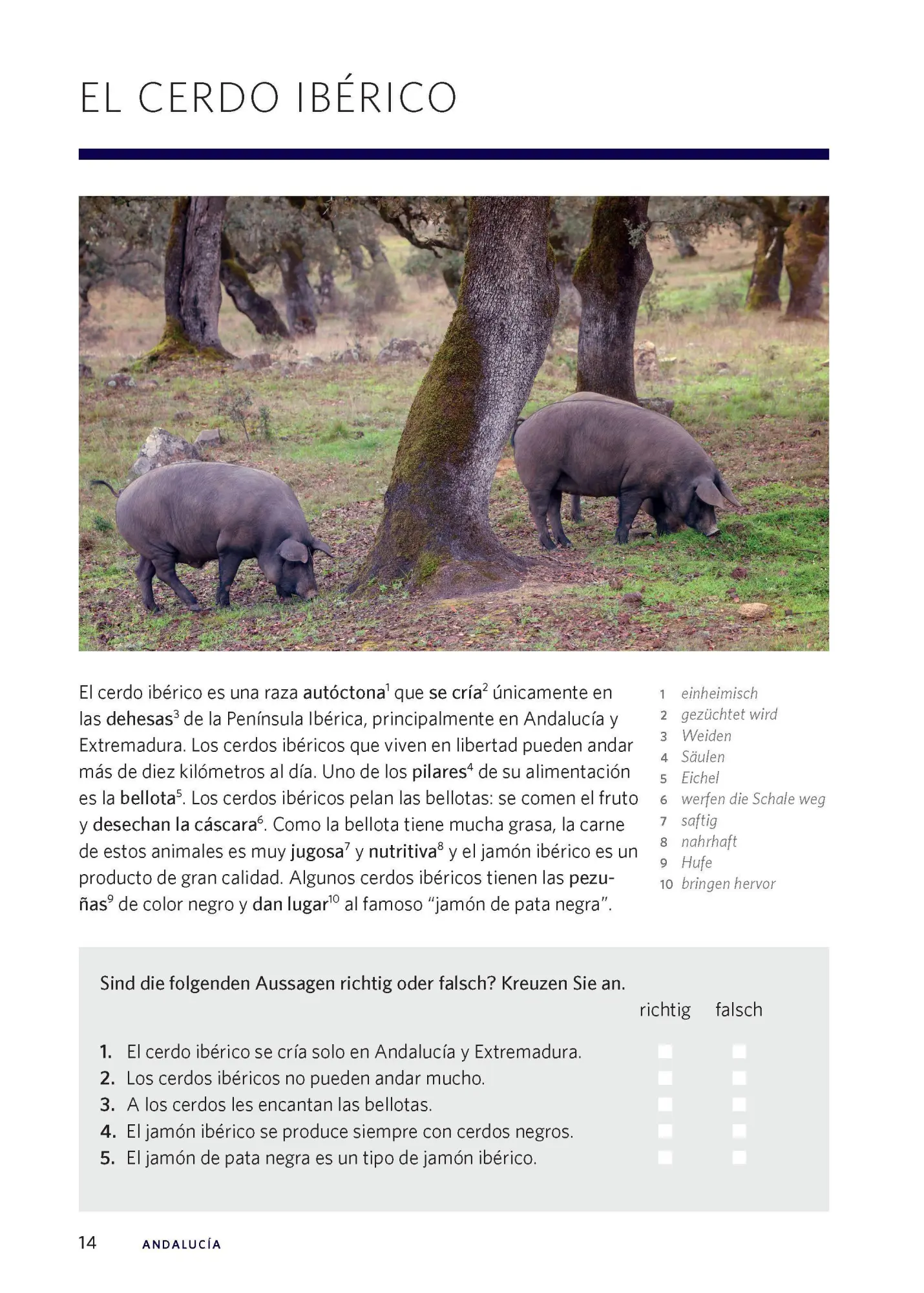 Bild: 9783125636484 | Langenscheidt Die kulinarische Sprachreise Spanisch | Taschenbuch
