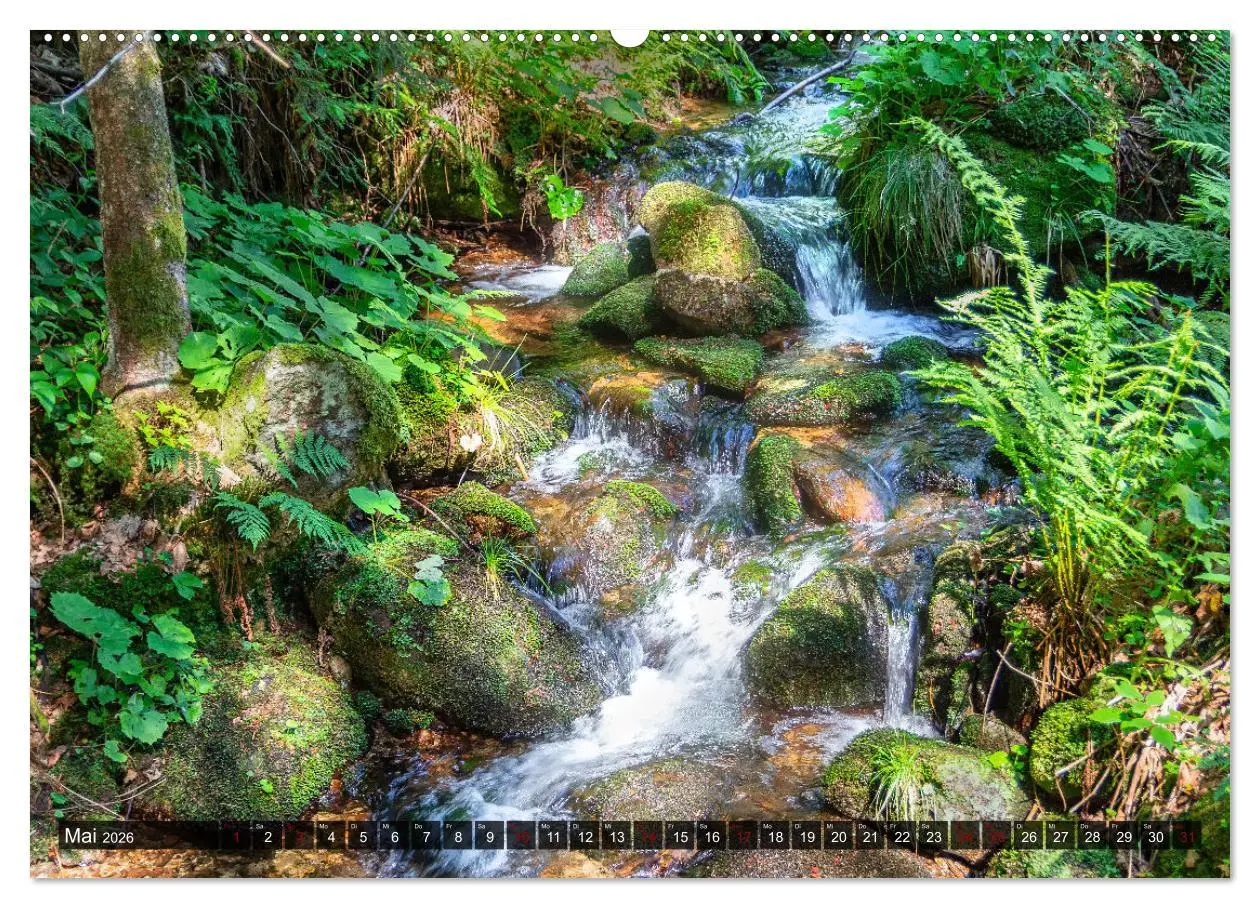 Bild: 9783457456484 | Bewegtes Wasser (hochwertiger Premium Wandkalender 2026 DIN A2...