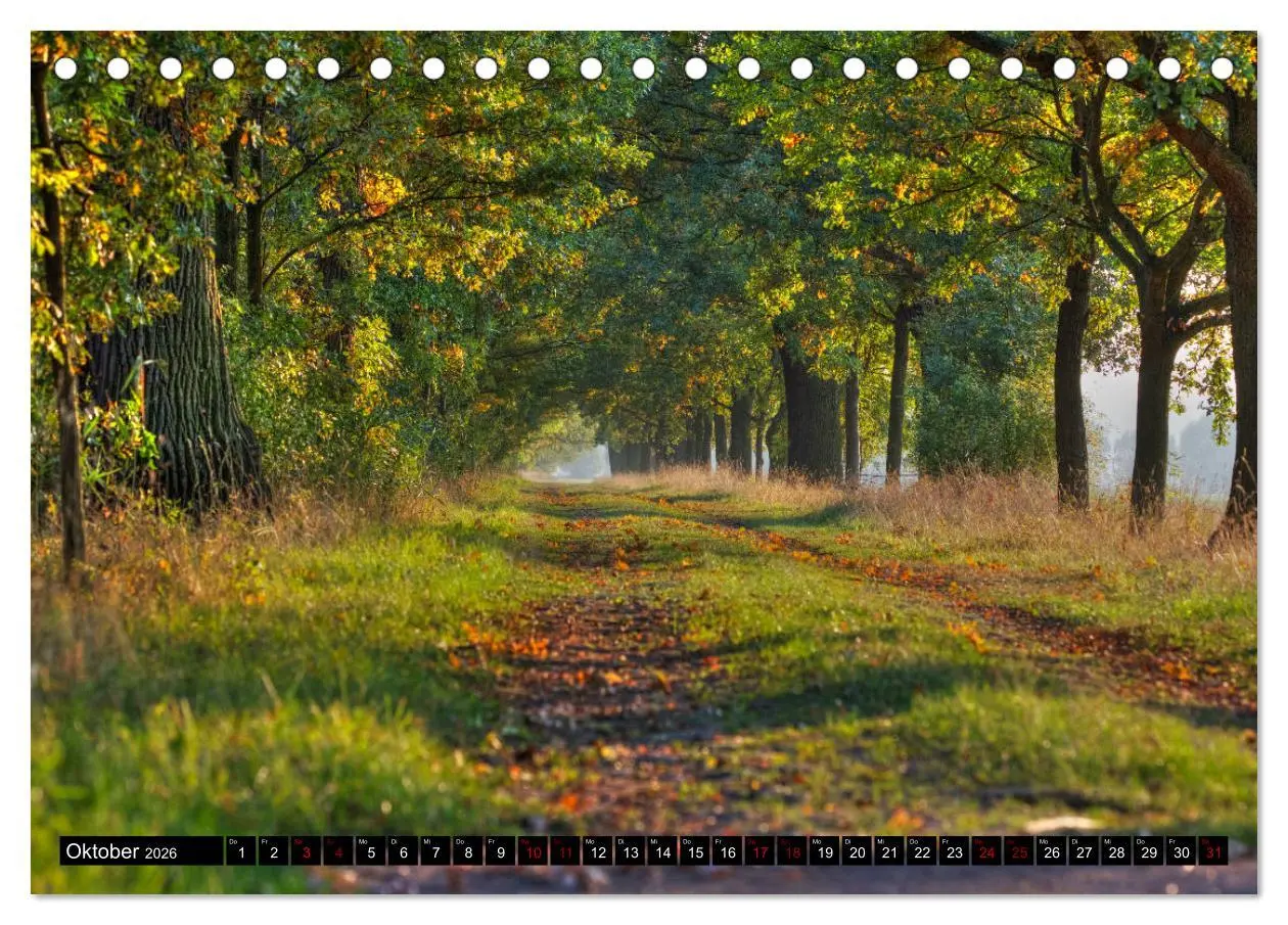 Bild: 9783457766484 | Oderlandschaft (Tischkalender 2026 DIN A5 quer), CALVENDO...