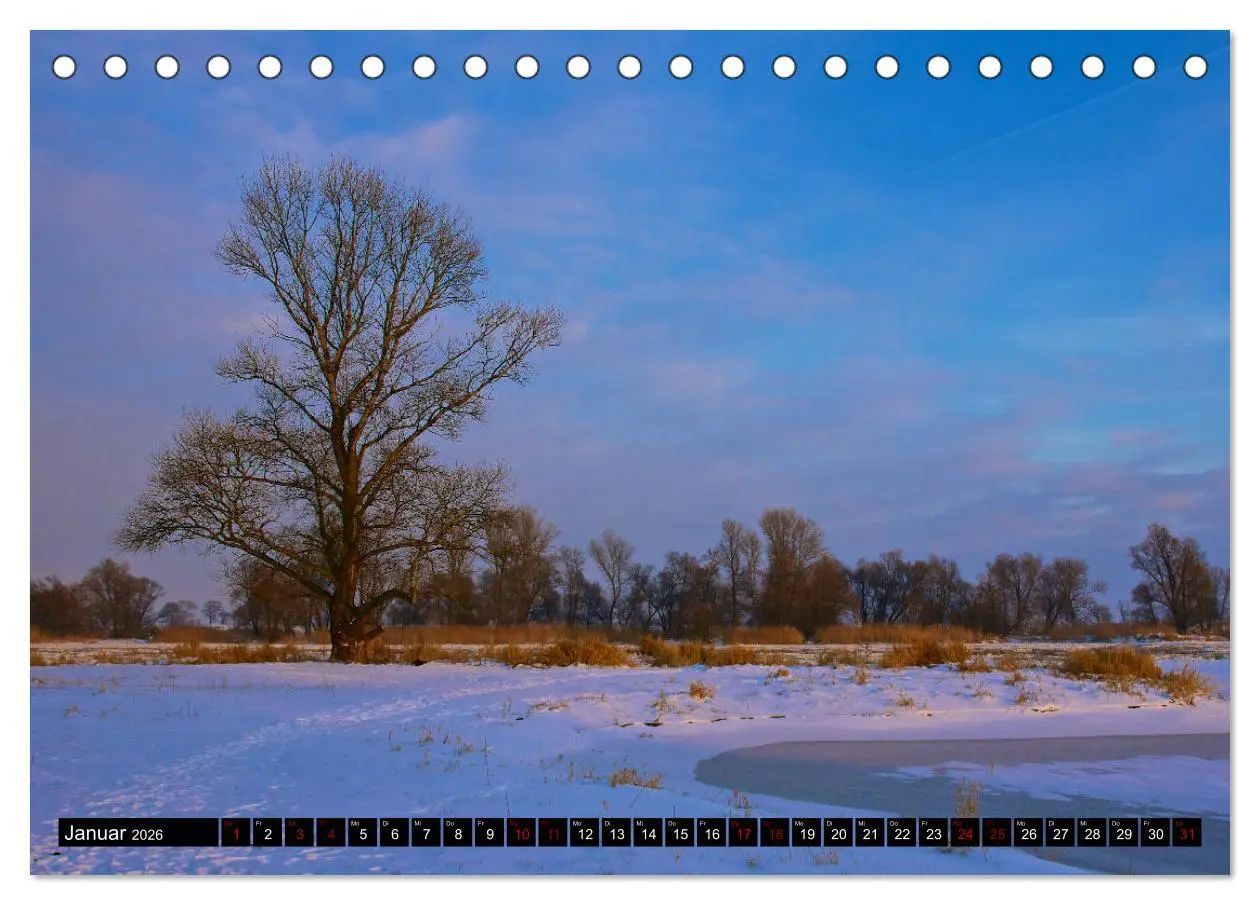 Bild: 9783457766484 | Oderlandschaft (Tischkalender 2026 DIN A5 quer), CALVENDO...