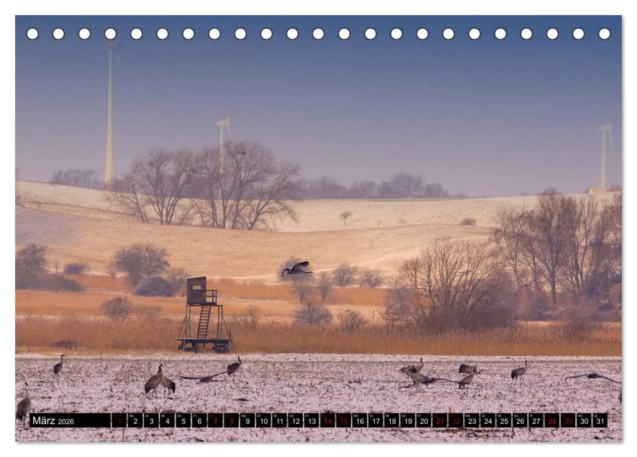 Bild: 9783457766484 | Oderlandschaft (Tischkalender 2026 DIN A5 quer), CALVENDO...