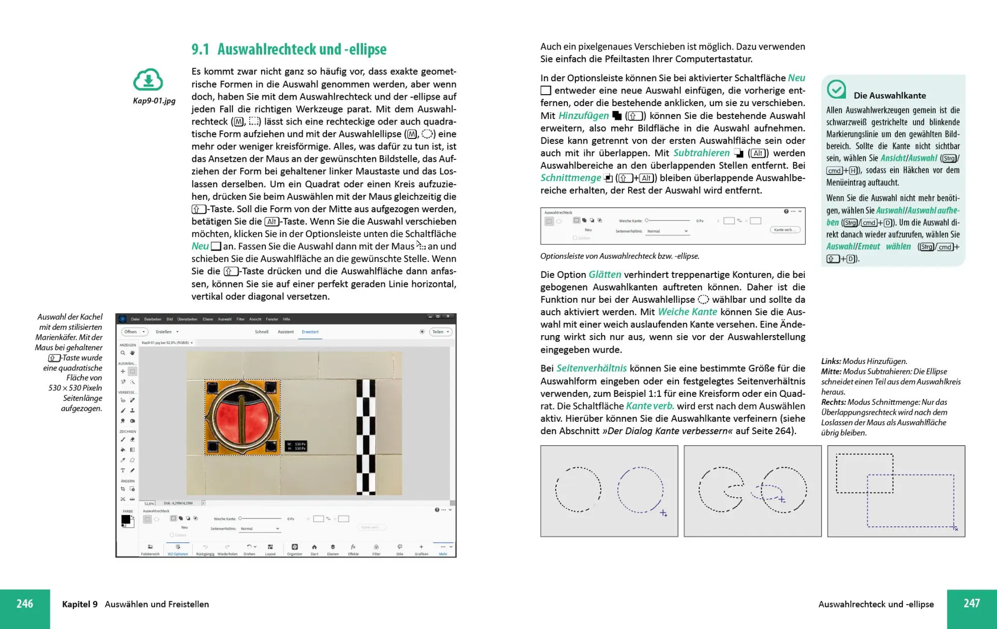 Bild: 9783832806484 | Photoshop Elements 2024 - Das umfangreiche Praxisbuch | Sänger (u. a.)