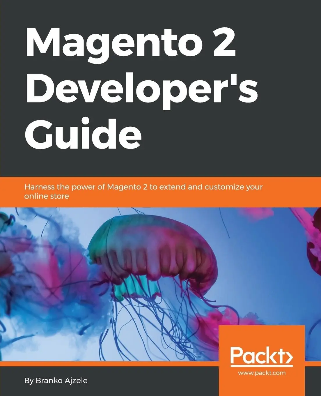 Cover: 9781785886584 | Magento 2 Developers Guide | Branko Ajzele | Taschenbuch | Englisch