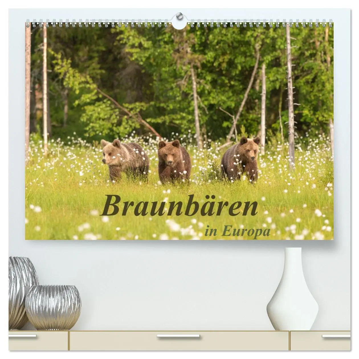 Cover: 9783457686584 | Braunbären in Europa (hochwertiger Premium Wandkalender 2026 DIN A2...