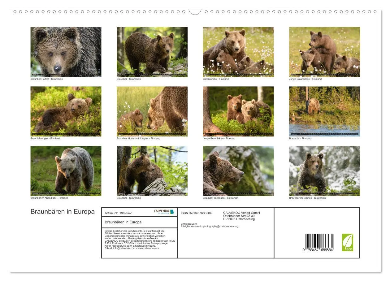 Bild: 9783457686584 | Braunbären in Europa (hochwertiger Premium Wandkalender 2026 DIN A2...