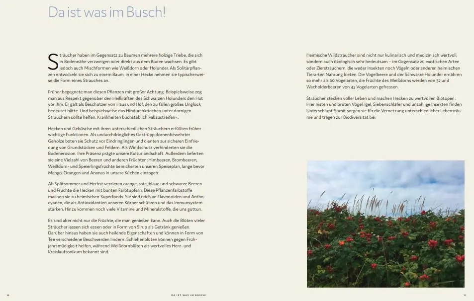 Bild: 9783747206584 | Bäume und Sträucher vor deiner Haustür | Marion Reinhardt | Buch