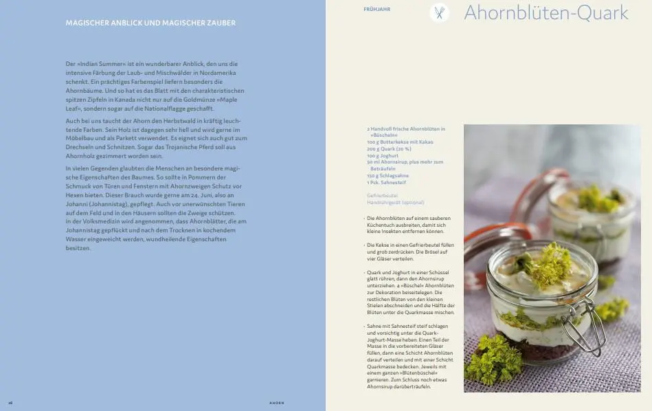 Bild: 9783747206584 | Bäume und Sträucher vor deiner Haustür | Marion Reinhardt | Buch