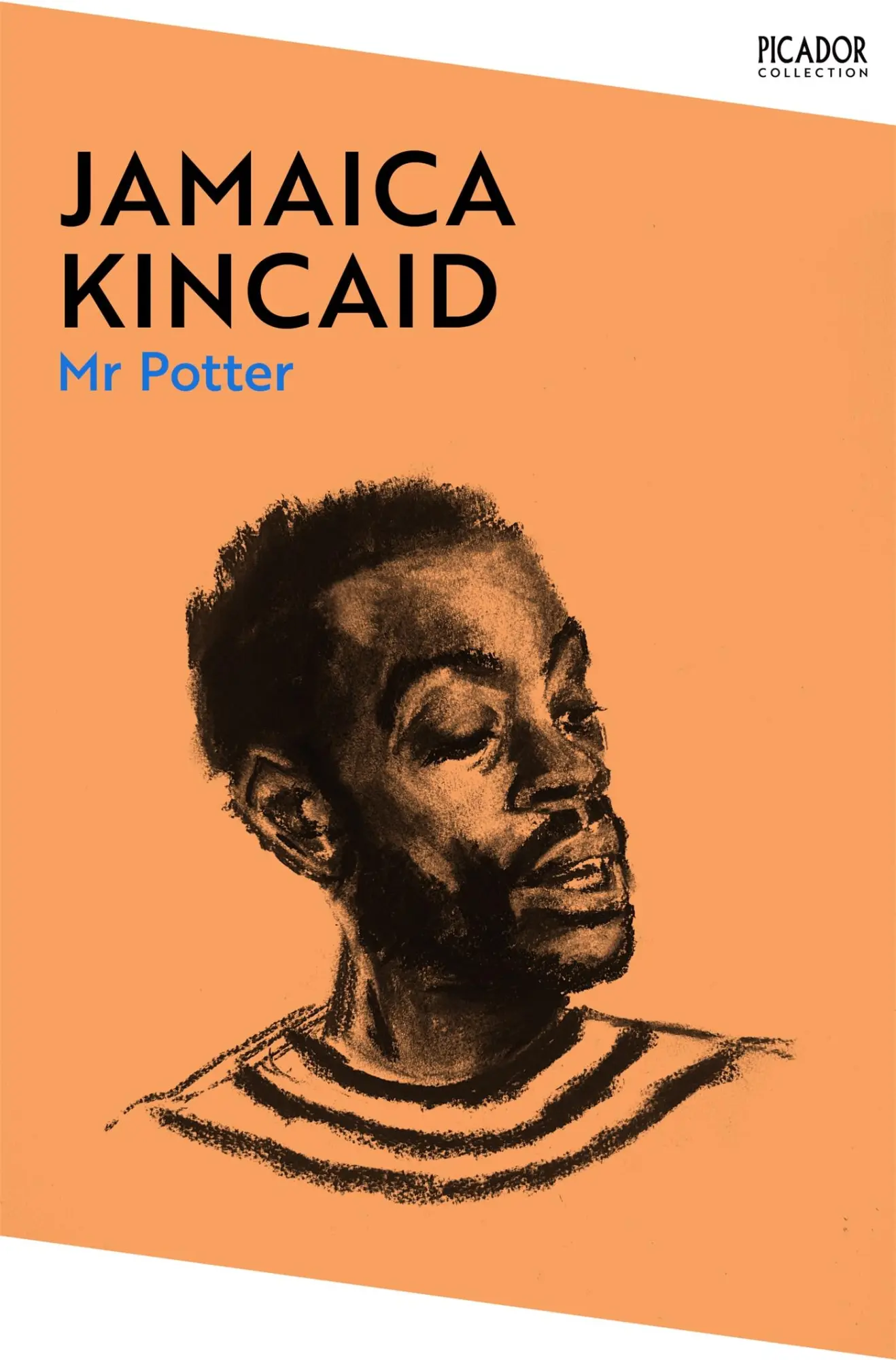 Cover: 9781529076684 | Mr Potter | Jamaica Kincaid | Taschenbuch | Kartoniert / Broschiert