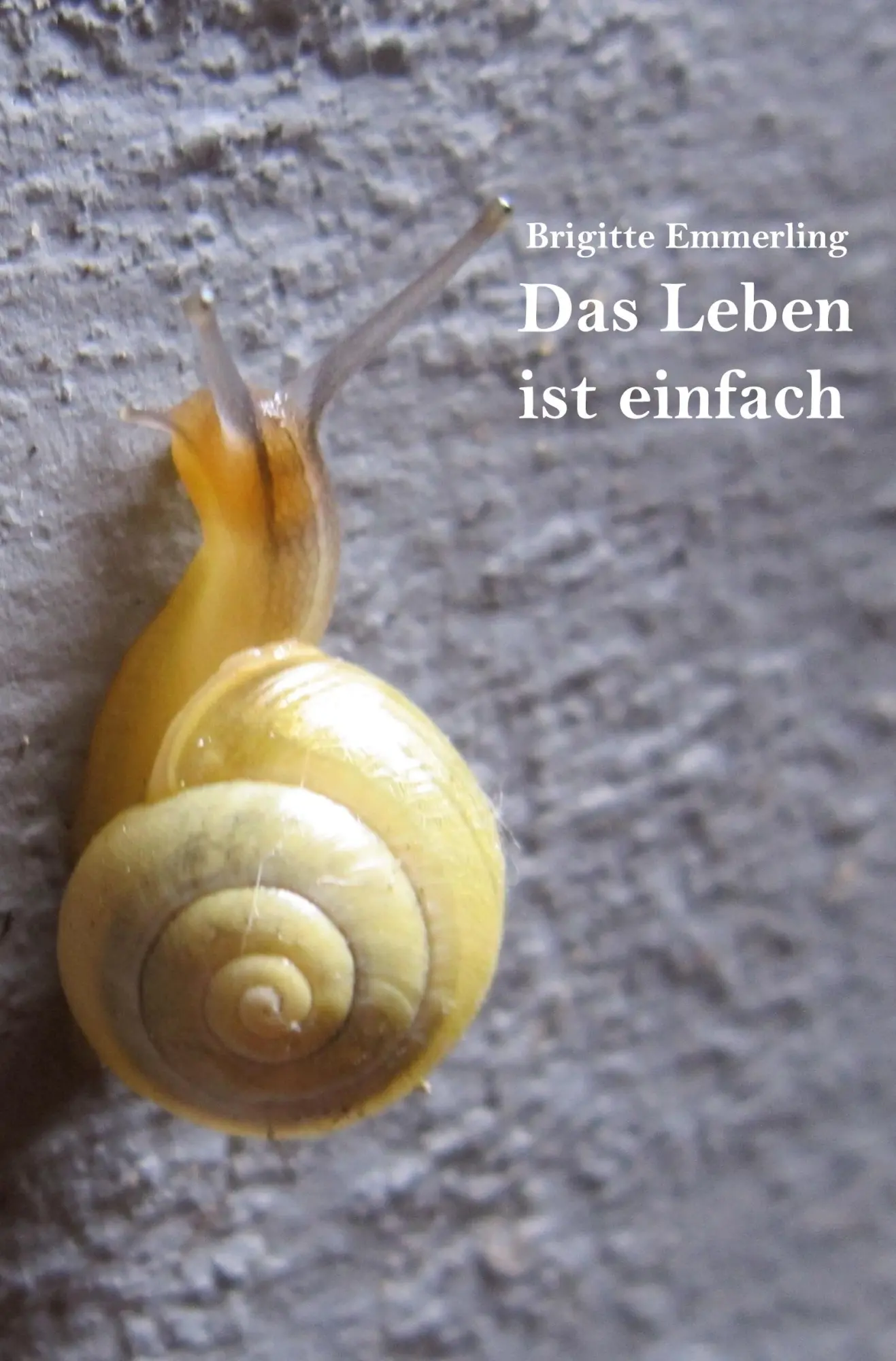 Cover: 9783961036684 | Das Leben ist einfach | Brigitte Emmerling | Taschenbuch | 82 S.