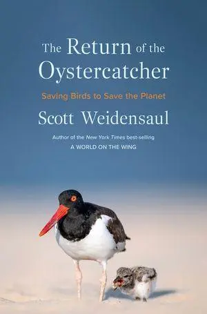 Cover: 9781324036784 | The Return of the Oystercatcher | Saving Birds to Save the Planet