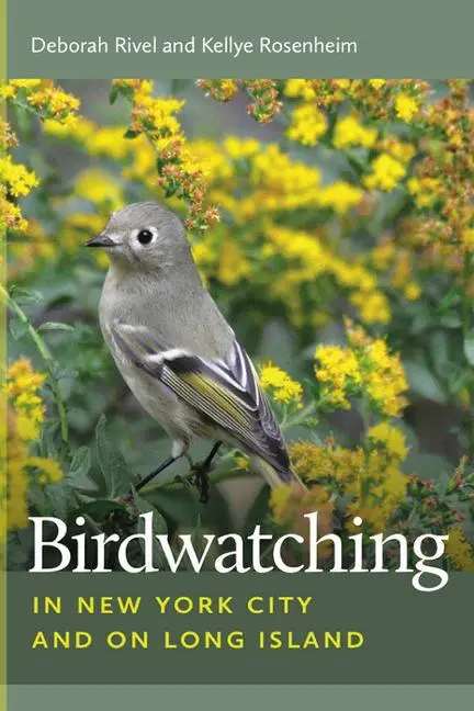 Cover: 9781611686784 | Birdwatching in New York City and on Long Island | Rivel (u. a.)