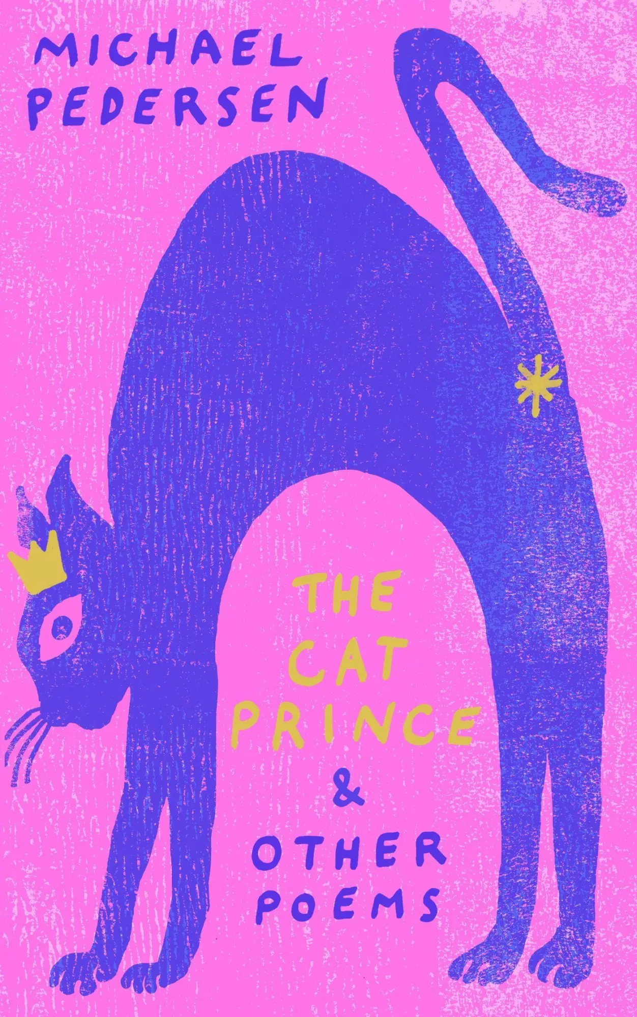 Cover: 9781472156884 | The Cat Prince | &amp; Other Poems | Michael Pedersen | Buch | Gebunden