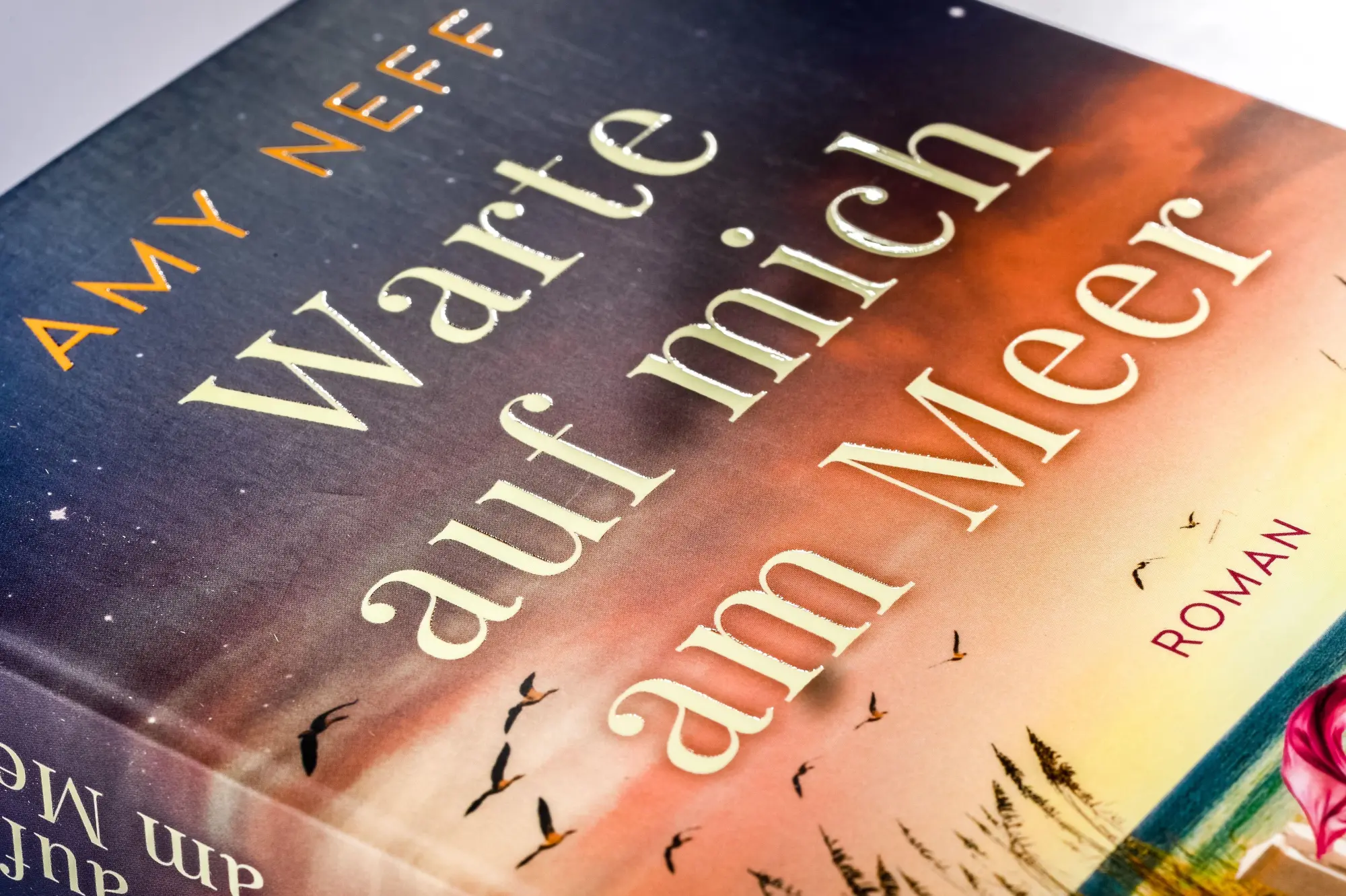 Bild: 9783442496884 | Warte auf mich am Meer | Amy Neff | Taschenbuch | 480 S. | Deutsch