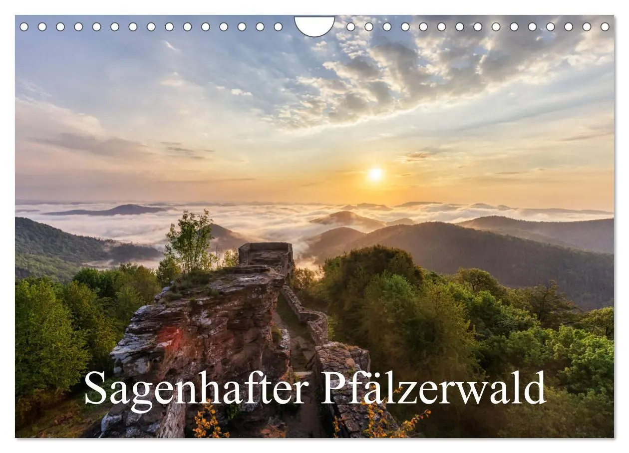 Cover: 9783457896884 | Sagenhafter Pfälzerwald (Wandkalender 2026 DIN A4 quer), CALVENDO...