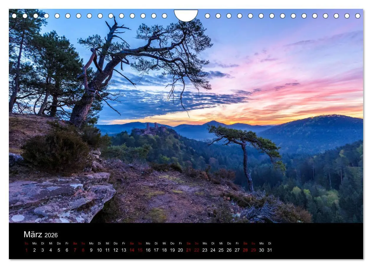 Bild: 9783457896884 | Sagenhafter Pfälzerwald (Wandkalender 2026 DIN A4 quer), CALVENDO...