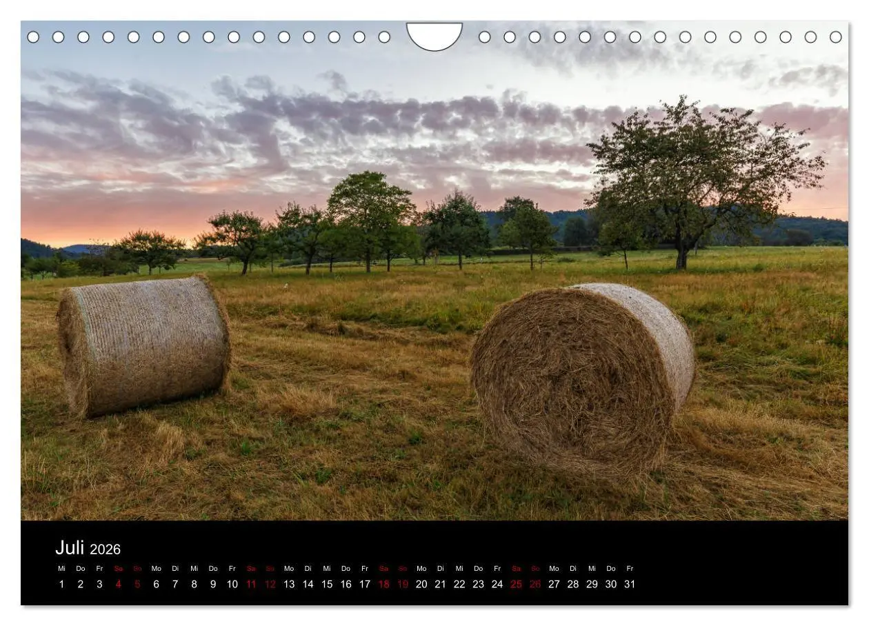 Bild: 9783457896884 | Sagenhafter Pfälzerwald (Wandkalender 2026 DIN A4 quer), CALVENDO...