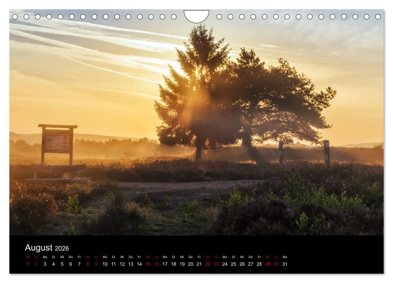 Bild: 9783457896884 | Sagenhafter Pfälzerwald (Wandkalender 2026 DIN A4 quer), CALVENDO...