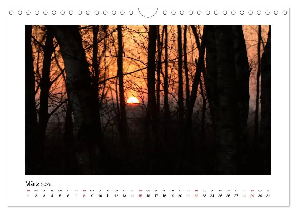 Bild: 9783457966884 | Winter im Teufelsmoor (Wandkalender 2026 DIN A4 quer), CALVENDO...