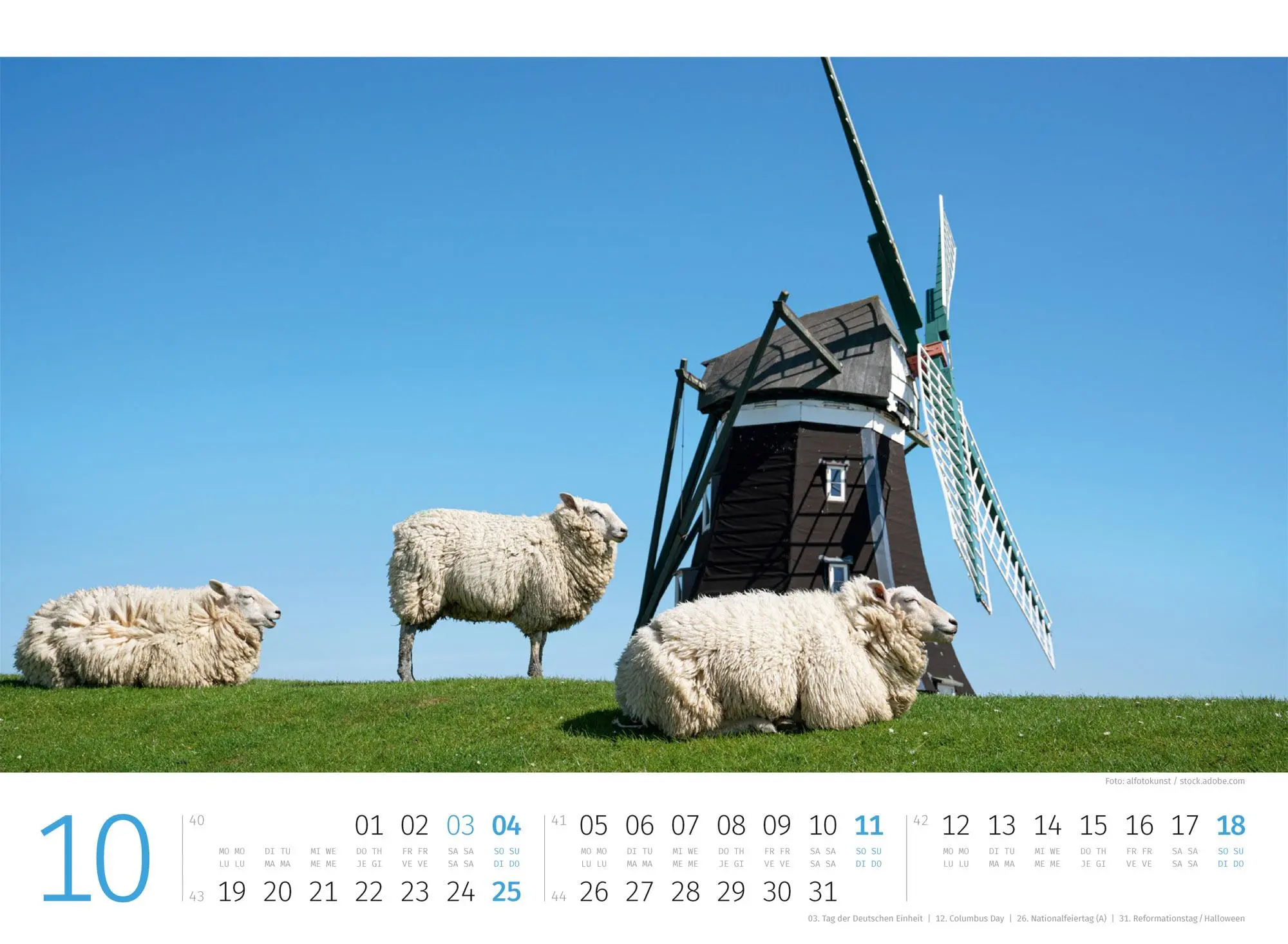 Bild: 9783838426884 | Schafe Kalender 2026 | Ackermann Kunstverlag GmbH | Kalender | 14 S.
