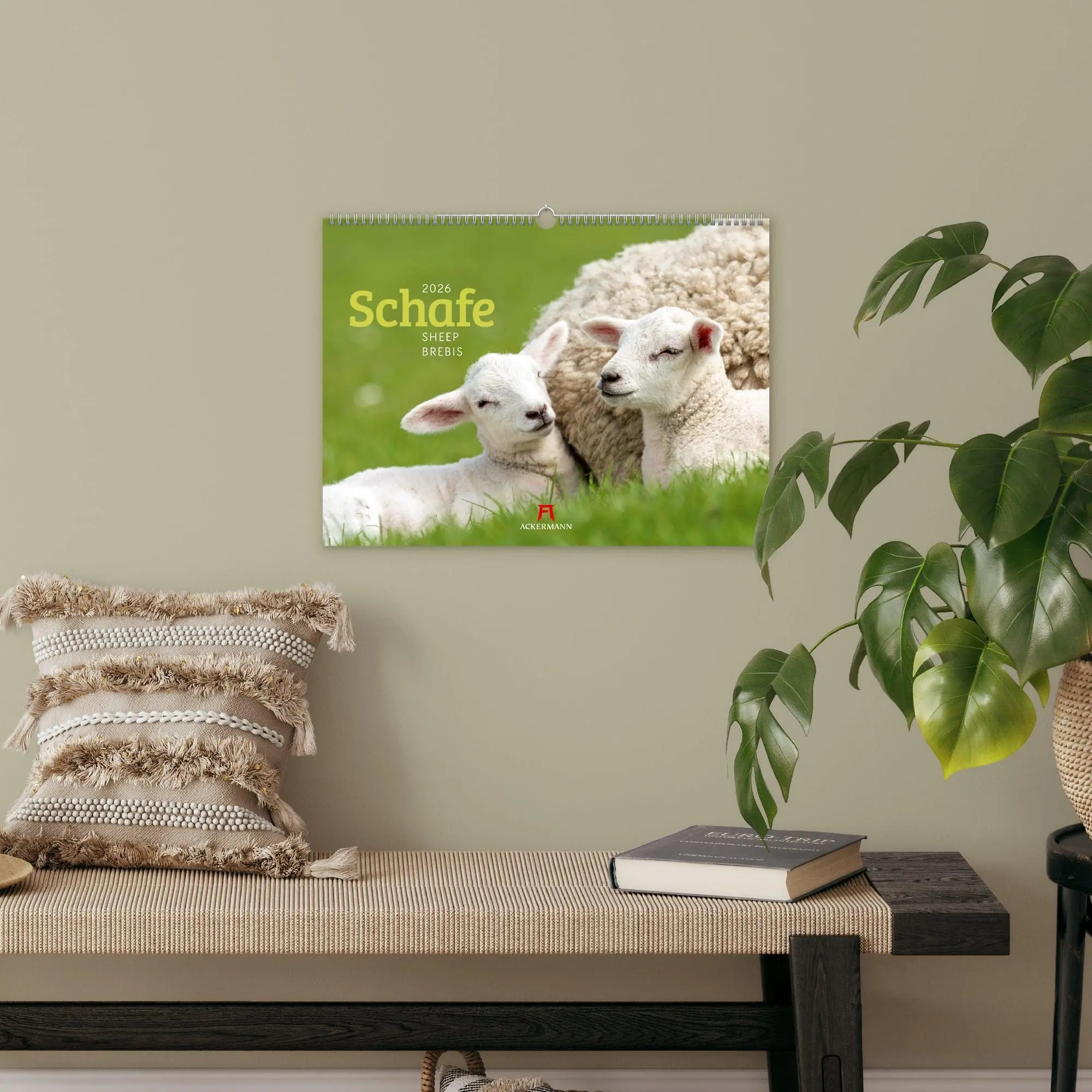 Bild: 9783838426884 | Schafe Kalender 2026 | Ackermann Kunstverlag GmbH | Kalender | 14 S.