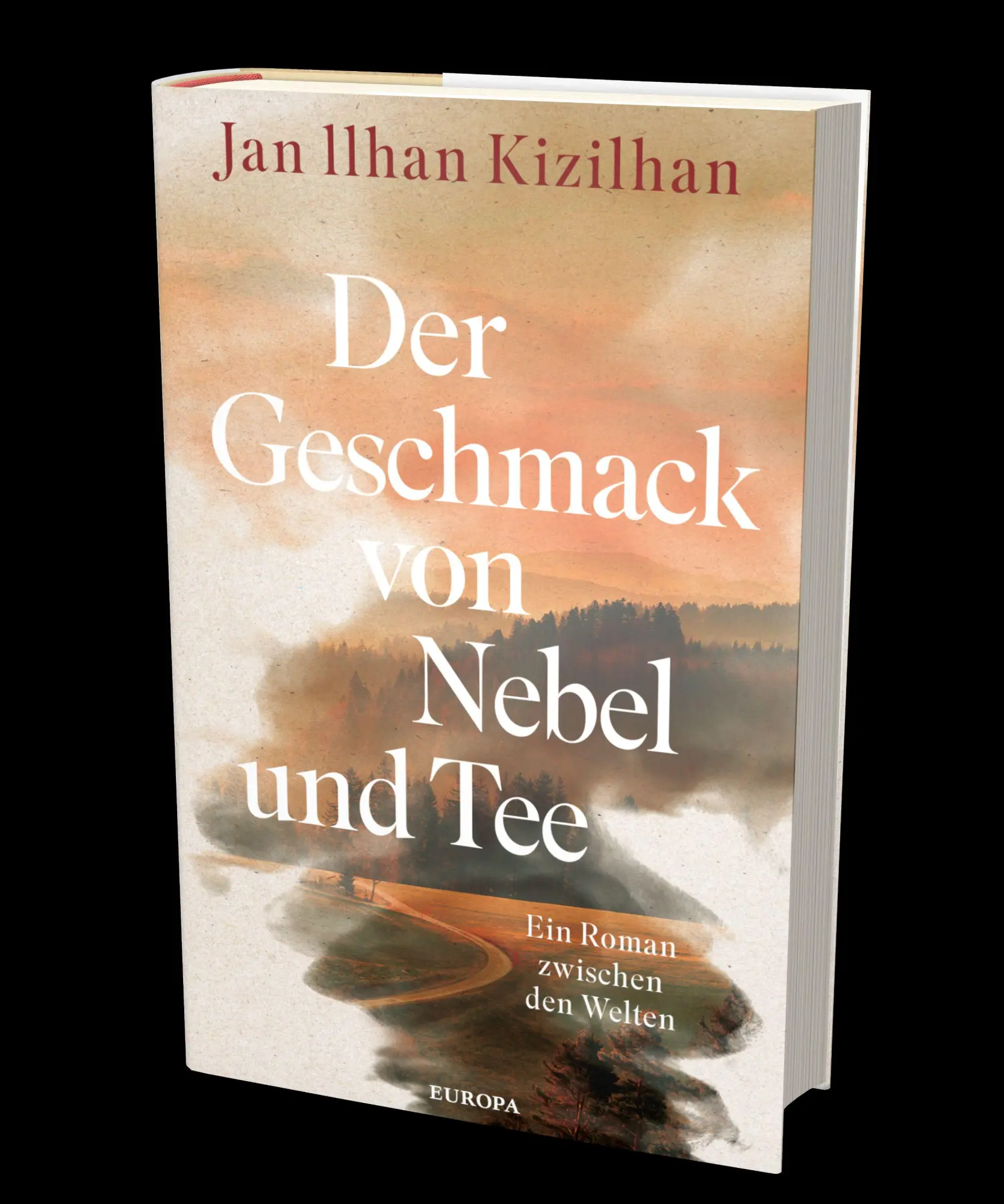 Bild: 9783958906884 | Der Geschmack von Nebel und Tee | Ein Roman zwischen den Welten | Buch