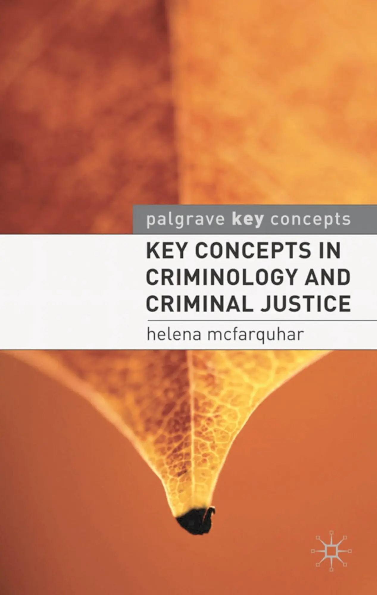 Cover: 9780230516984 | Key Concepts in Criminology and Criminal Justice | Helena McFarquhar
