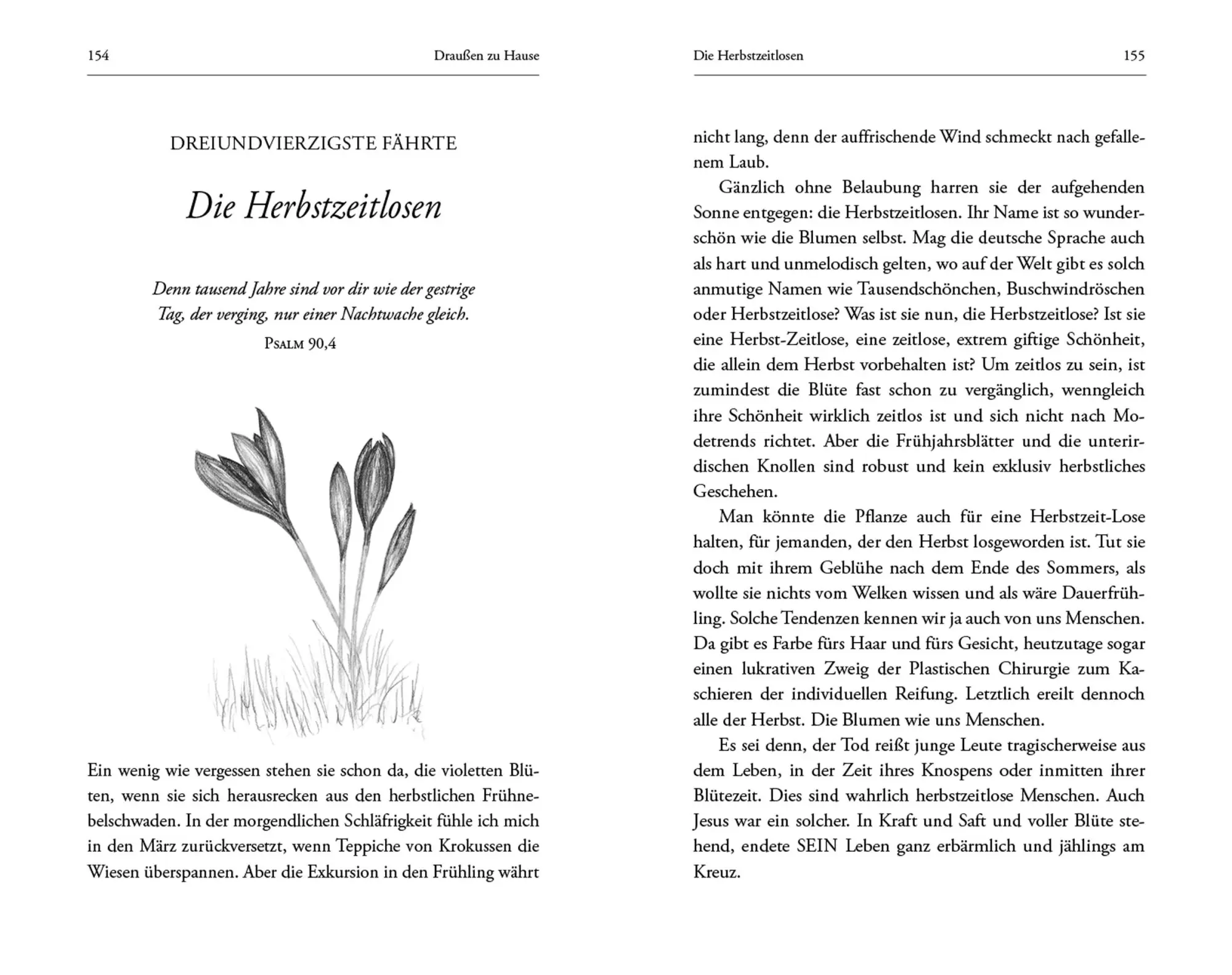 Bild: 9783451396984 | Libellenflug und Windgeflüster | 52 Fährten Gottes in der Welt | Buch