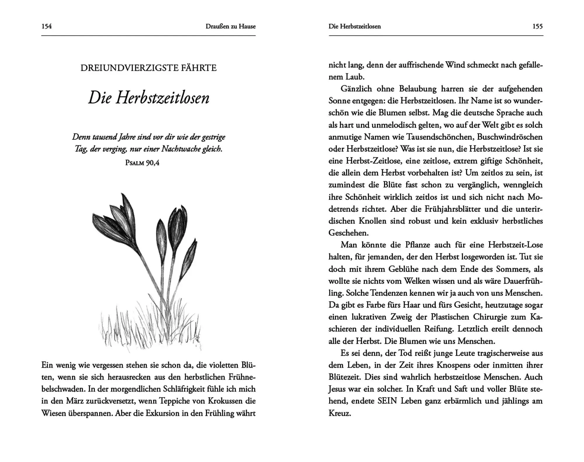 Bild: 9783451396984 | Libellenflug und Windgeflüster | 52 Fährten Gottes in der Welt | Buch