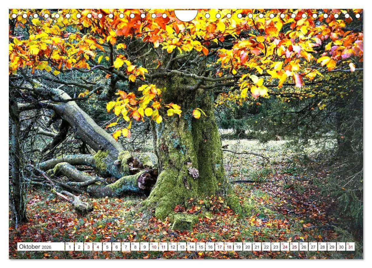 Bild: 9783516666984 | Die RHÖN: Faszinierende Berge und lebendige Bäche (Wandkalender...