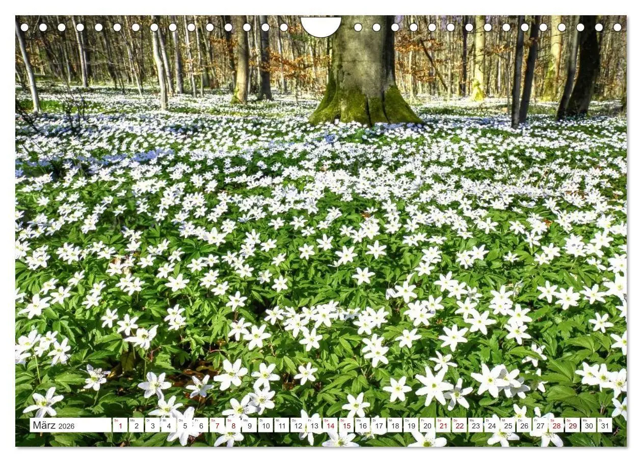 Bild: 9783516666984 | Die RHÖN: Faszinierende Berge und lebendige Bäche (Wandkalender...