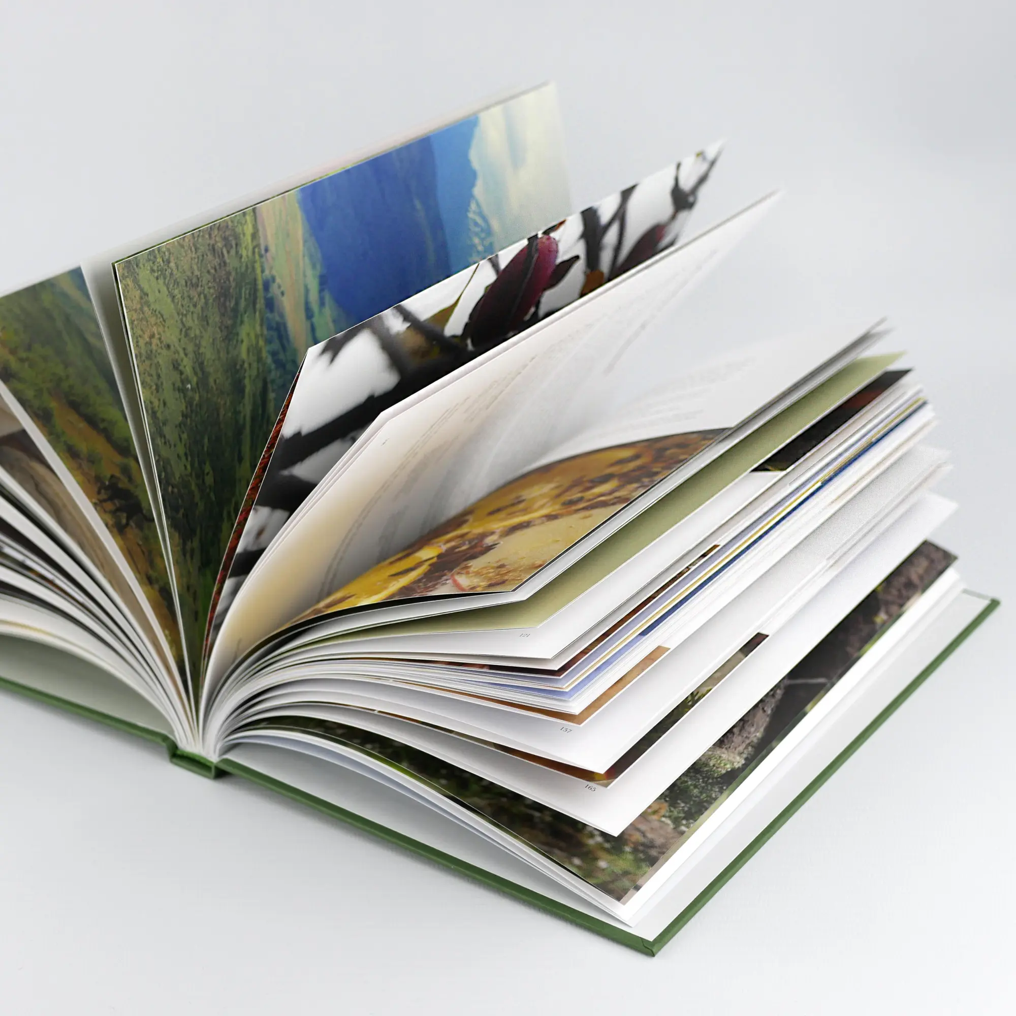 Bild: 9783747406984 | Die Cottage Fairy | Paola Merrill | Buch | 176 S. | Deutsch | 2025