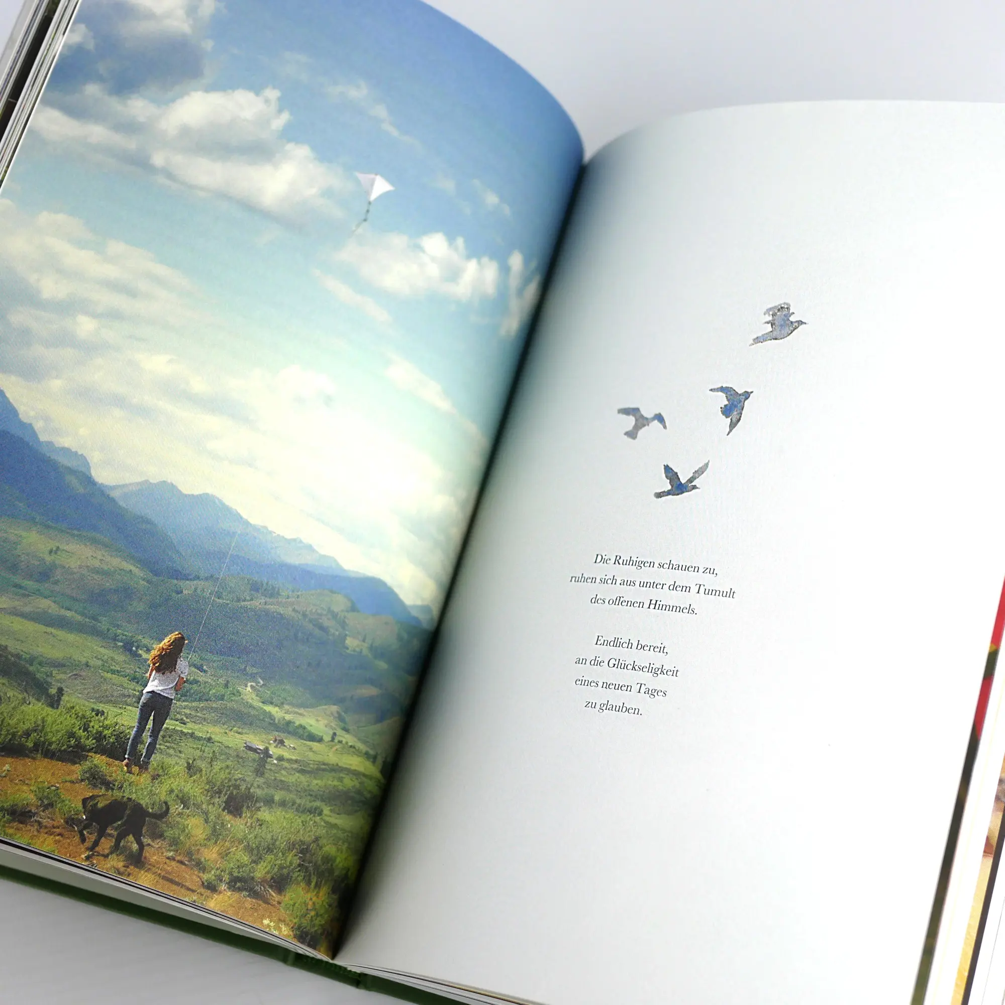 Bild: 9783747406984 | Die Cottage Fairy | Paola Merrill | Buch | 176 S. | Deutsch | 2025