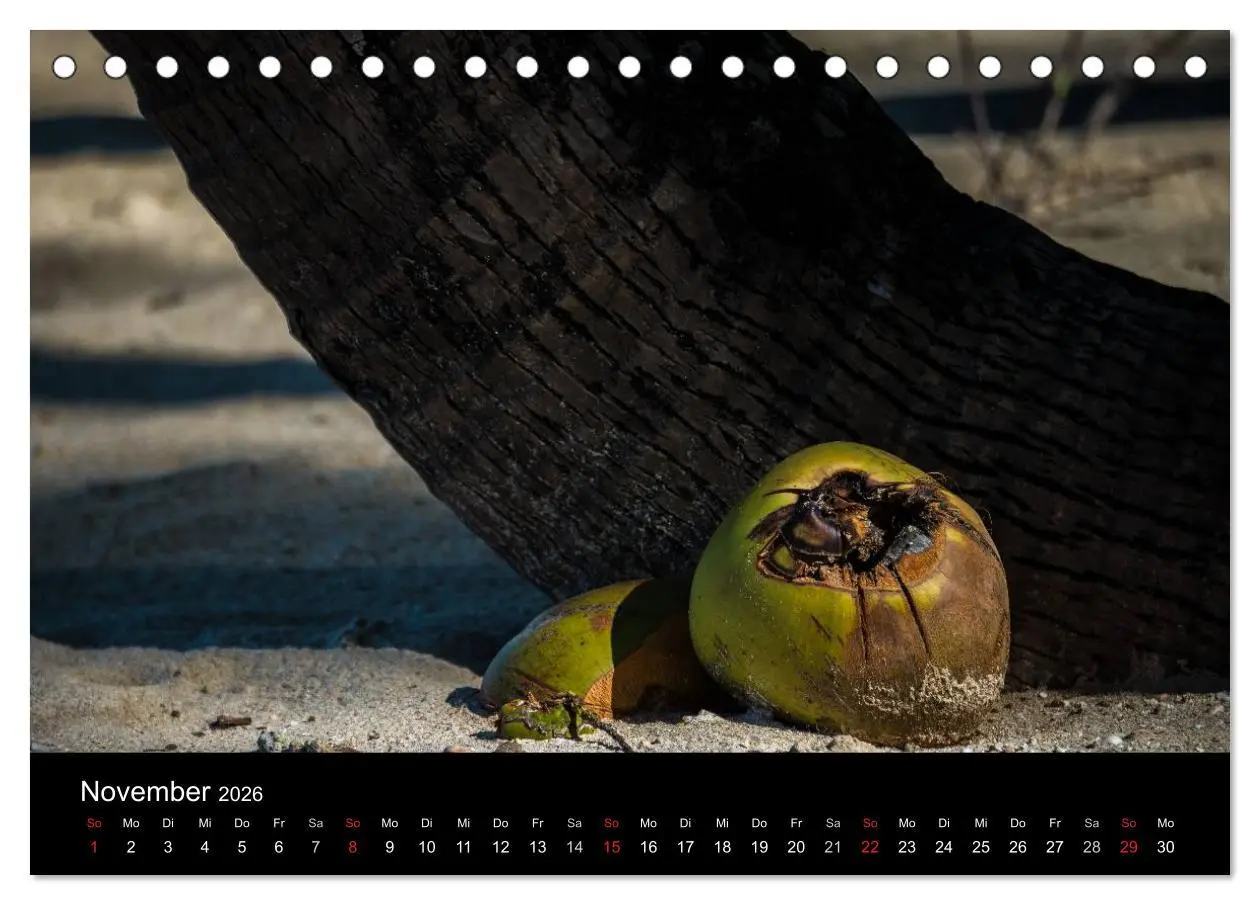 Bild: 9783516157284 | Myanmar - Eindrücke (Tischkalender 2026 DIN A5 quer), CALVENDO...