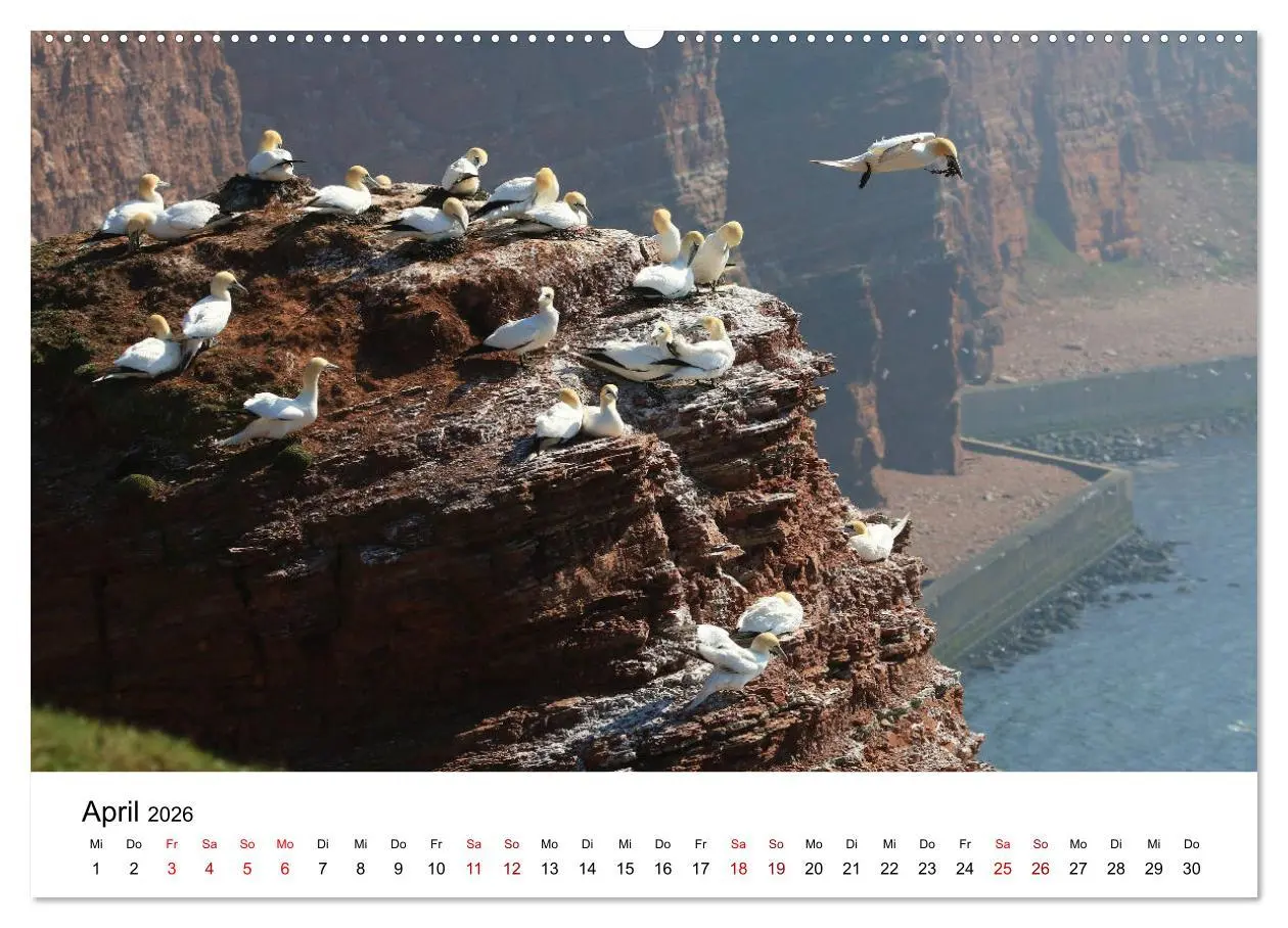 Bild: 9783457747384 | Deutsche Hochseeinsel Helgoland (hochwertiger Premium Wandkalender...