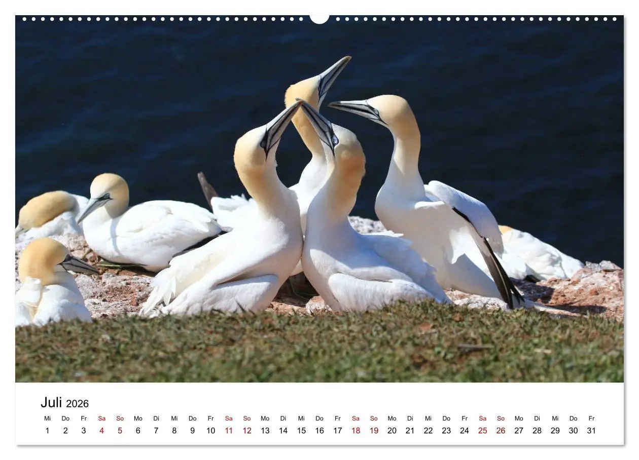 Bild: 9783457747384 | Deutsche Hochseeinsel Helgoland (hochwertiger Premium Wandkalender...