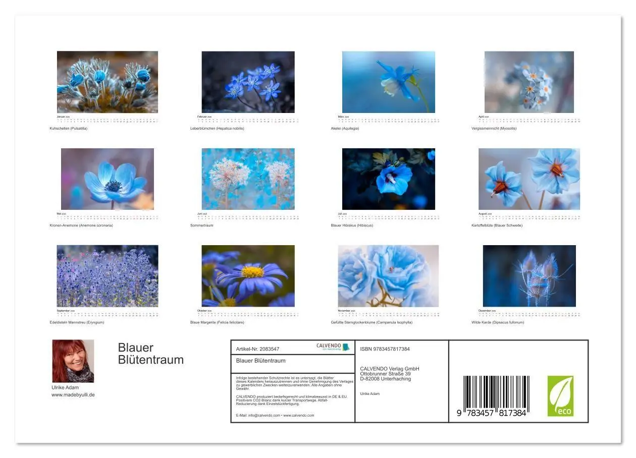 Bild: 9783457817384 | Blauer Blütentraum (Wandkalender 2026 DIN A4 quer), CALVENDO...