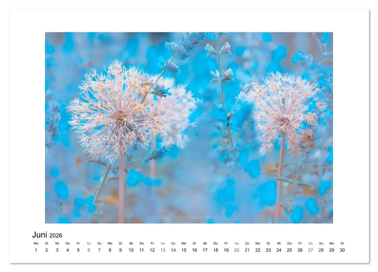 Bild: 9783457817384 | Blauer Blütentraum (Wandkalender 2026 DIN A4 quer), CALVENDO...