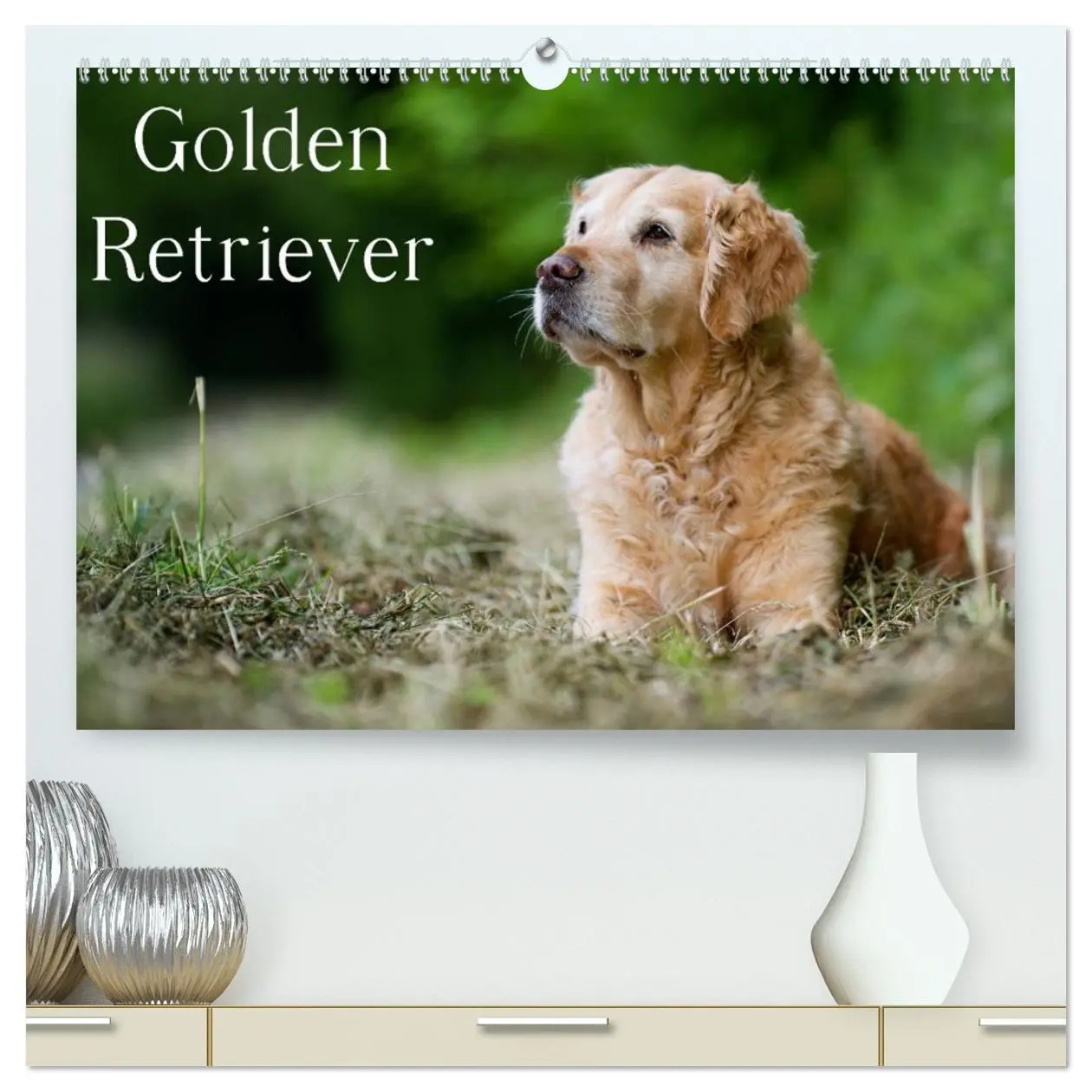Cover: 9783516147384 | Golden Retriever (hochwertiger Premium Wandkalender 2026 DIN A2...