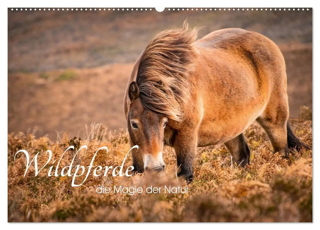 Cover: 9783516697384 | Wildperde - die Magie der Natur (Wandkalender 2026 DIN A2 quer),...