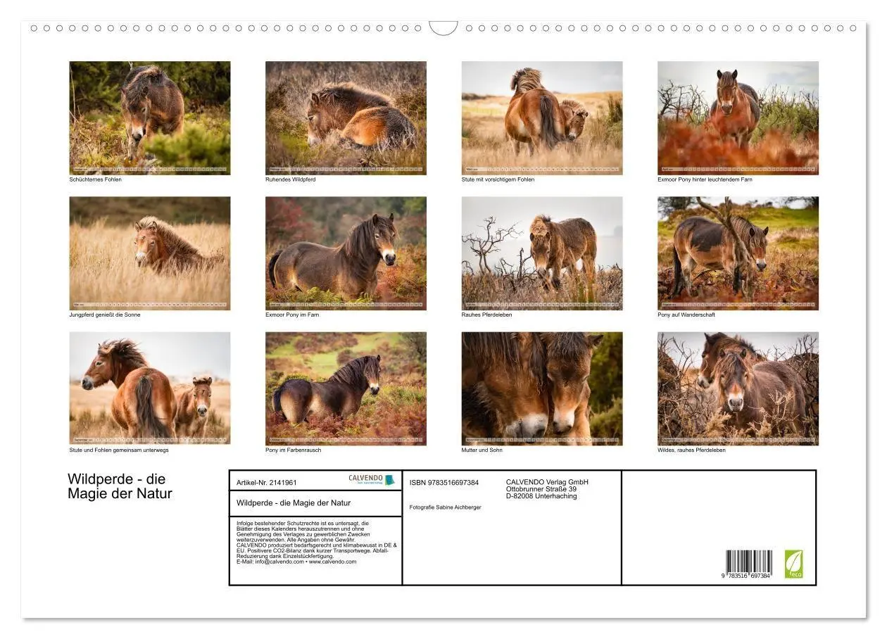 Bild: 9783516697384 | Wildperde - die Magie der Natur (Wandkalender 2026 DIN A2 quer),...