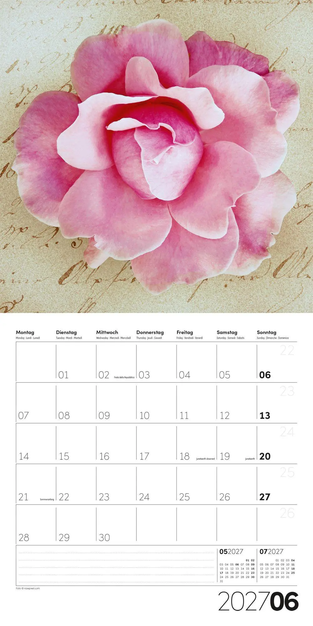 Bild: 9783838447384 | Die Farbe Pink Kalender 2027 - 30x30 - Art12 | GmbH | Kalender | 28 S.