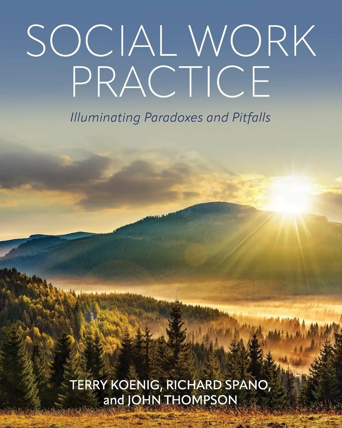 Cover: 9781793547484 | Social Work Practice | Illuminating Paradoxes and Pitfalls | Buch