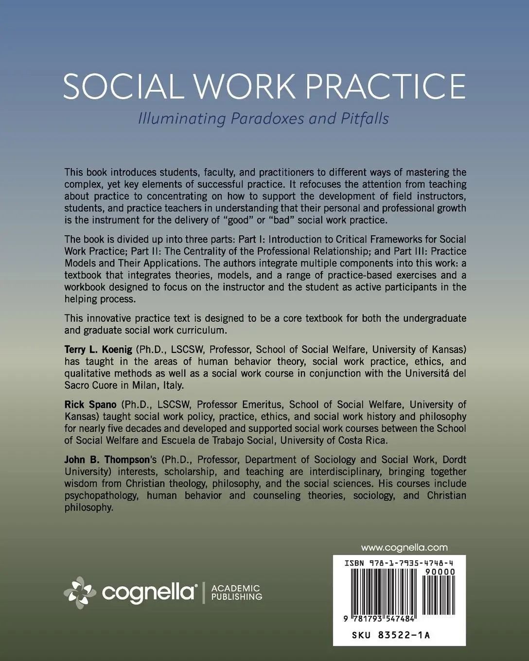 Rückseite: 9781793547484 | Social Work Practice | Illuminating Paradoxes and Pitfalls | Buch