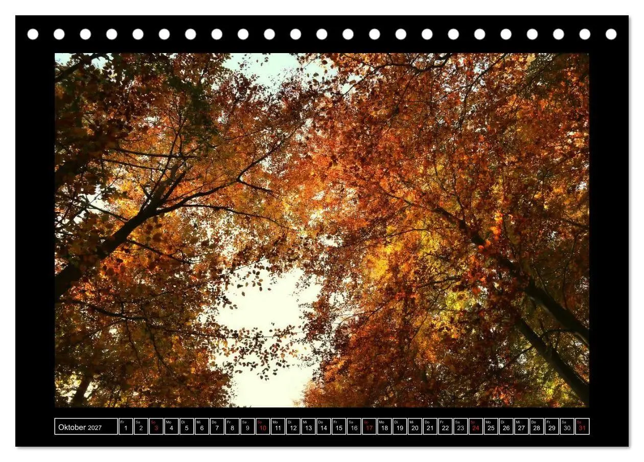 Bild: 9783569907584 | Der Reichswald bei Kleve (Tischkalender 2027 DIN A5 quer), CALVENDO...